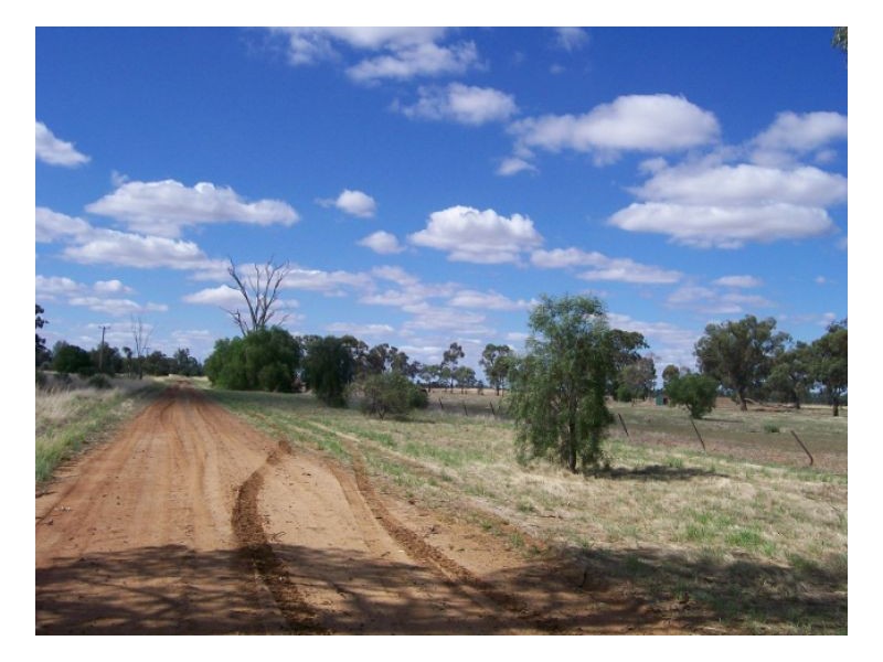 114-119 Woodstock Rd, Berrigan NSW 2712