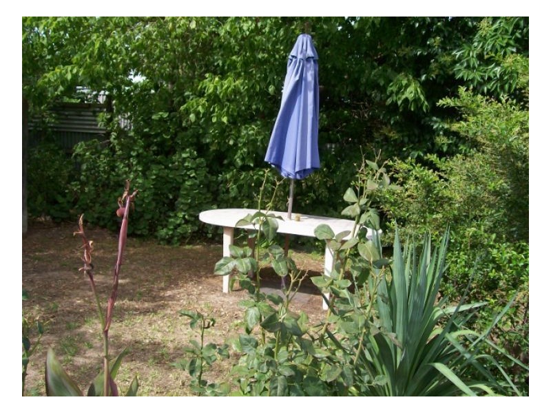 10 Momalong St, Berrigan NSW 2712