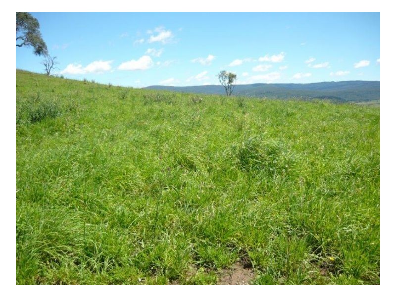 KARINYA VALE – Nowendoc, Tamworth NSW 2340