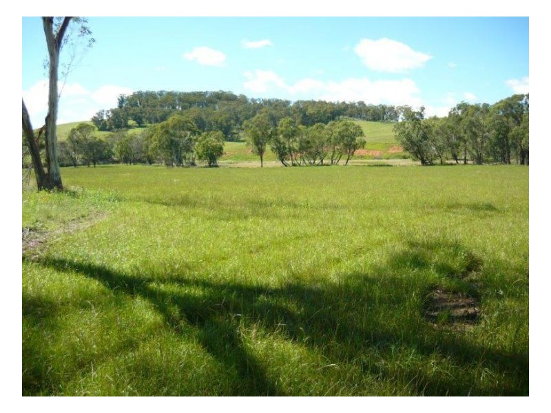 KARINYA VALE – Nowendoc, Tamworth NSW 2340