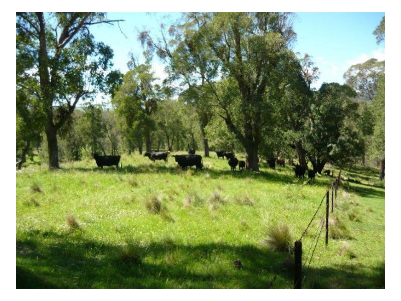 KARINYA VALE – Nowendoc, Tamworth NSW 2340