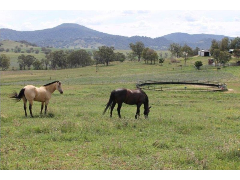 SHA-LEIGH, Tamworth NSW 2340