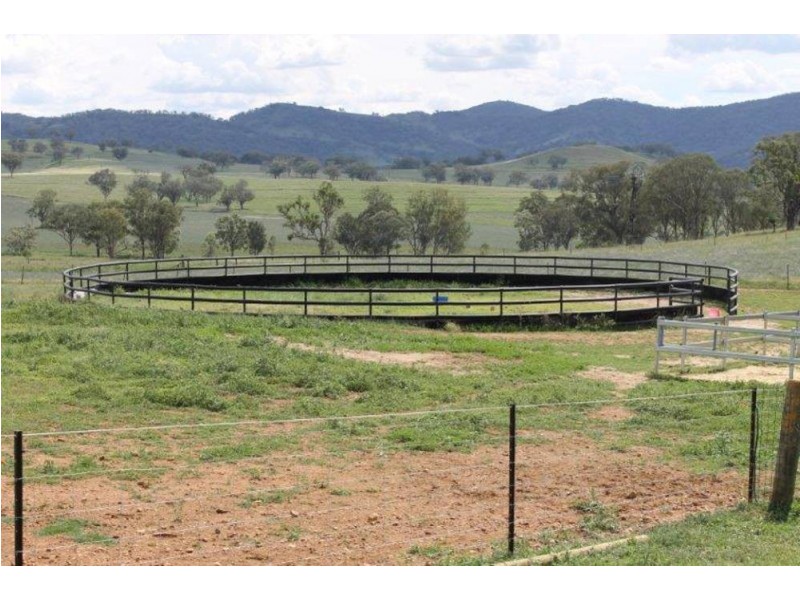 SHA-LEIGH, Tamworth NSW 2340