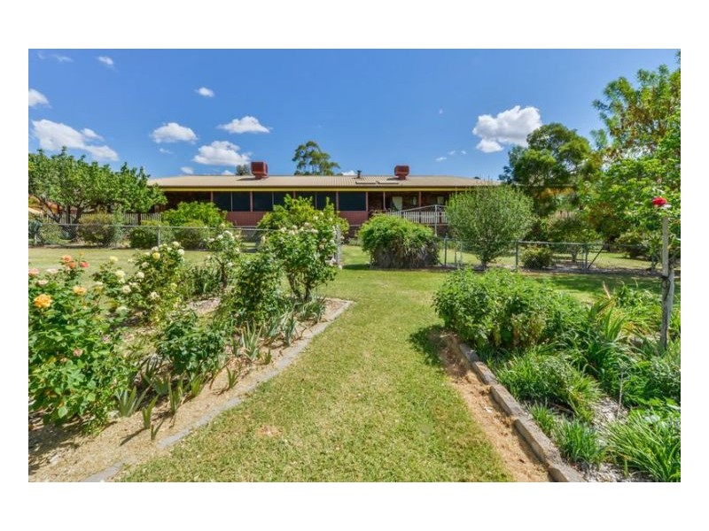 GUNDAROO – Woolomin, Tamworth NSW 2340