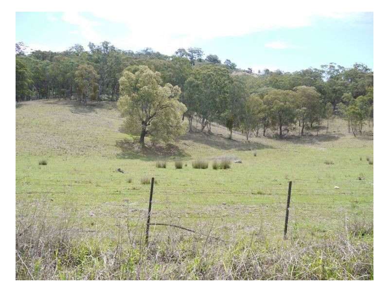 GUNDAROO – Woolomin, Tamworth NSW 2340