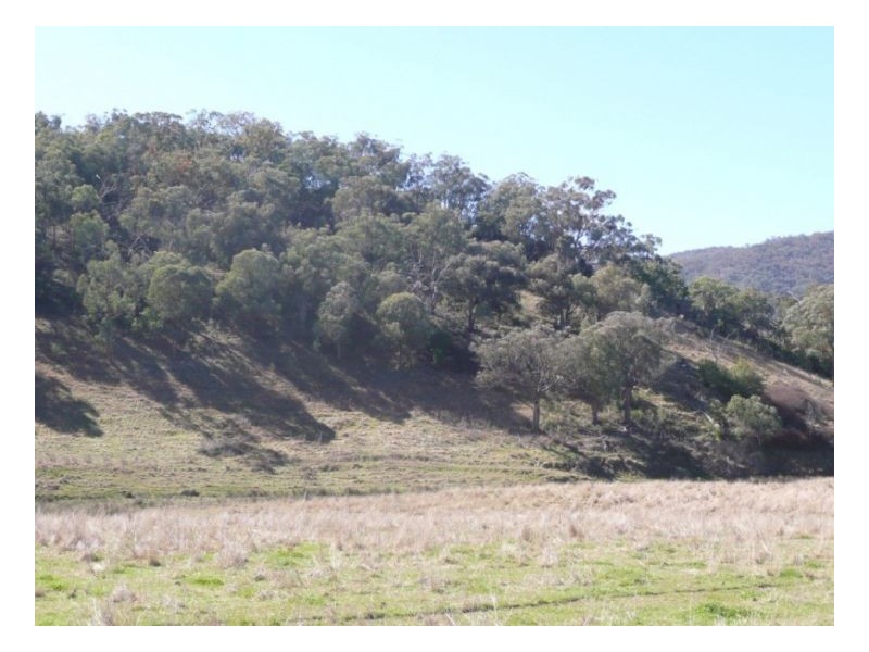 GUNDAROO – Woolomin, Tamworth NSW 2340