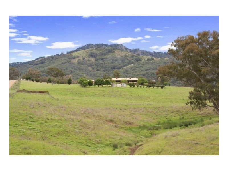 GUNDAROO – Woolomin, Tamworth NSW 2340