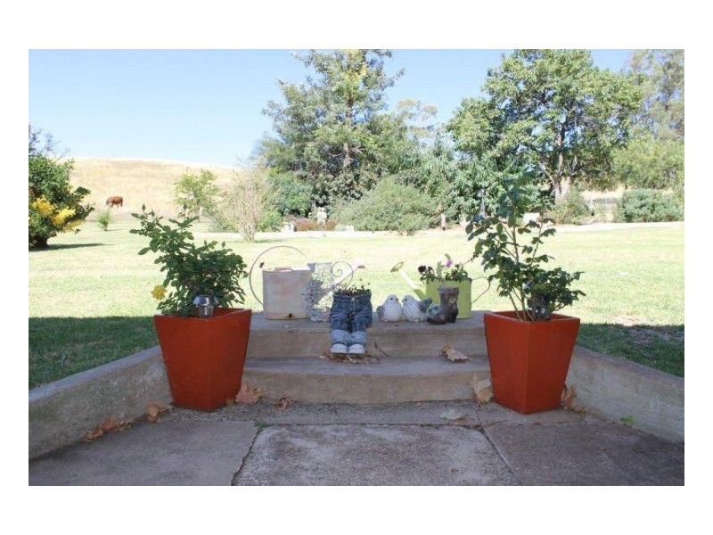 WYALLIA – Garoo District, Tamworth NSW 2340