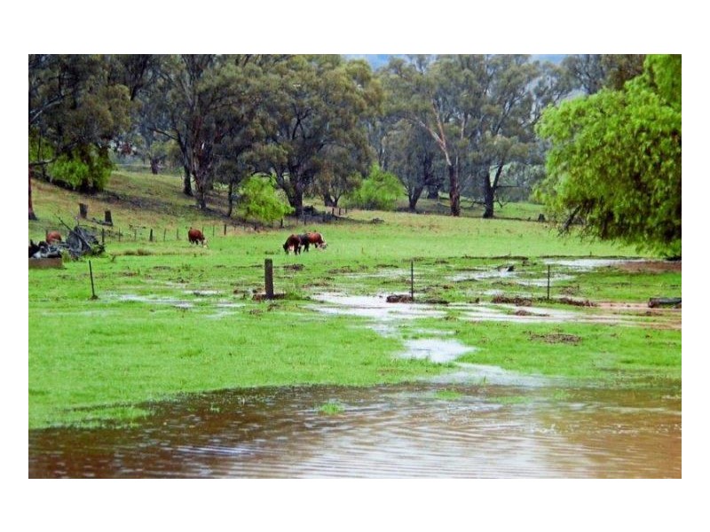 WYALLIA – Garoo District, Tamworth NSW 2340