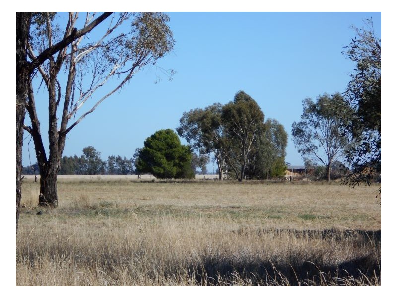 26 Waverly Rd, Berrigan NSW 2712