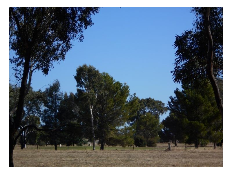 26 Waverly Rd, Berrigan NSW 2712