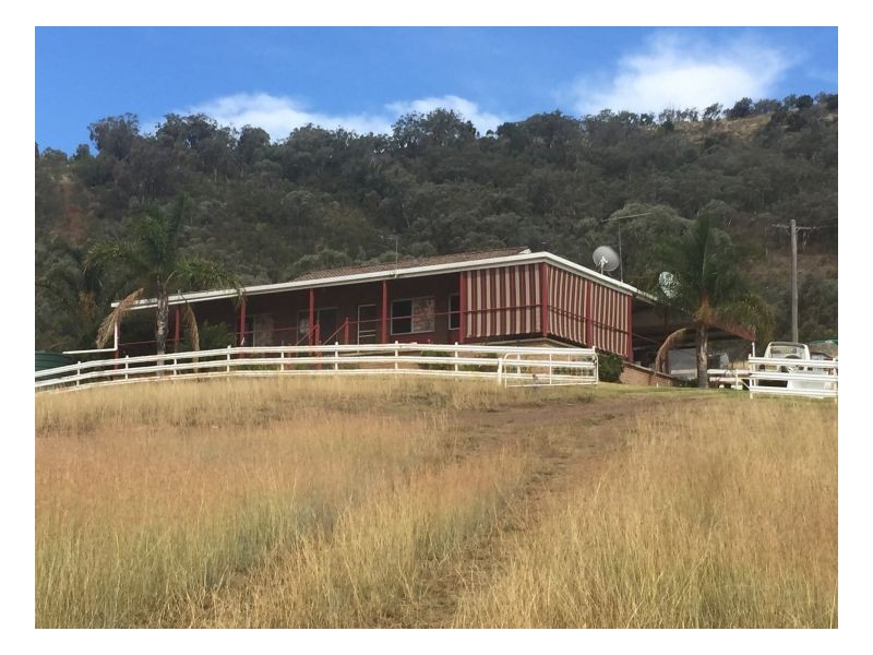 Smokey Bacon – Halls Creek, Tamworth NSW 2340