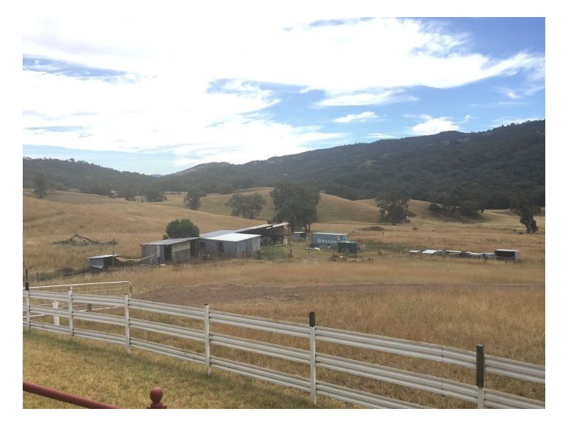 Smokey Bacon – Halls Creek, Tamworth NSW 2340