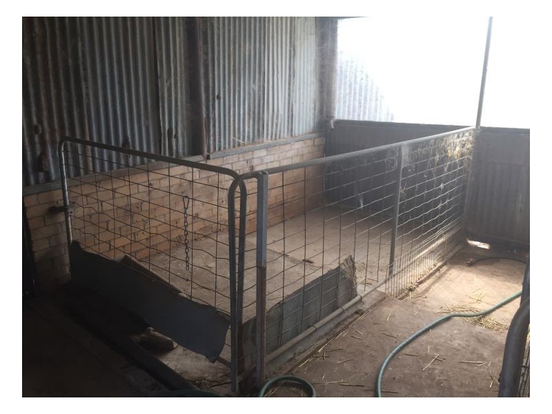 Smokey Bacon – Halls Creek, Tamworth NSW 2340