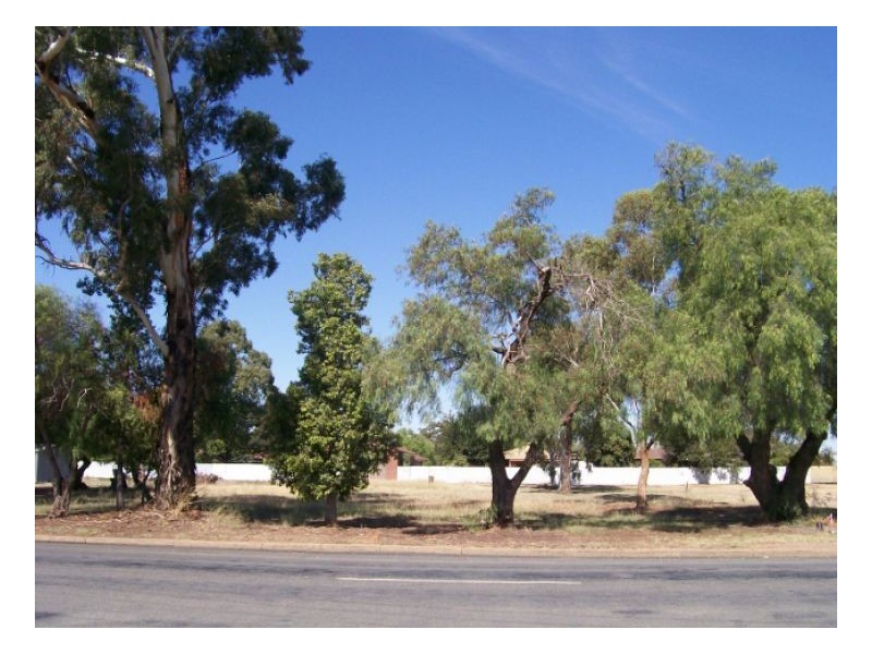 lots 13-14 Chanter St, Berrigan NSW 2712