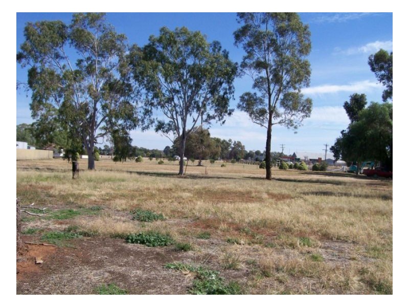 lots 13-14 Chanter St, Berrigan NSW 2712