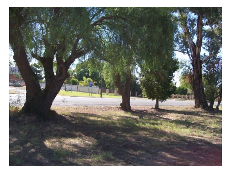 lots 13-14 Chanter St, Berrigan NSW 2712