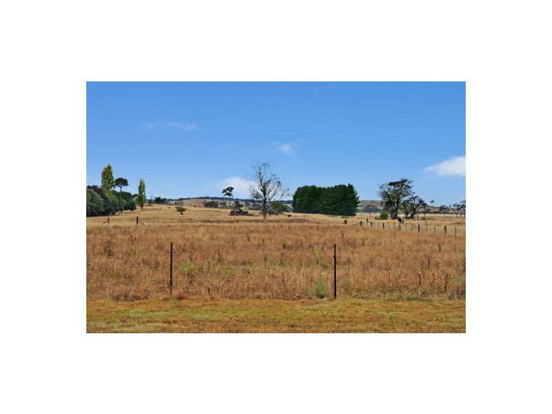 SEASONS CHANGE, Kentucky, Tamworth NSW 2340