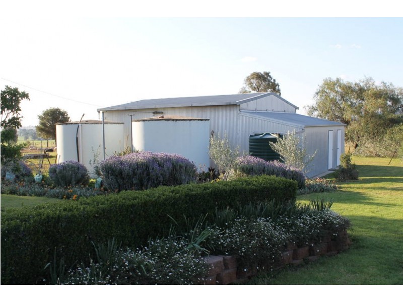 253 Whitehouse Lane, Tamworth NSW 2340
