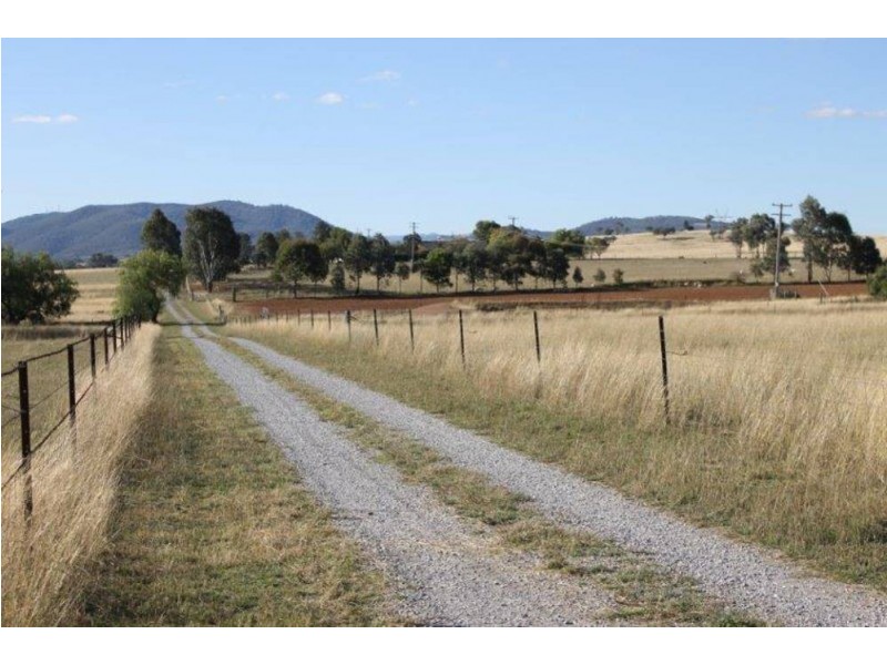 253 Whitehouse Lane, Tamworth NSW 2340