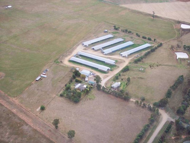 153 Byamee Lane, Wallamore, Tamworth NSW 2340