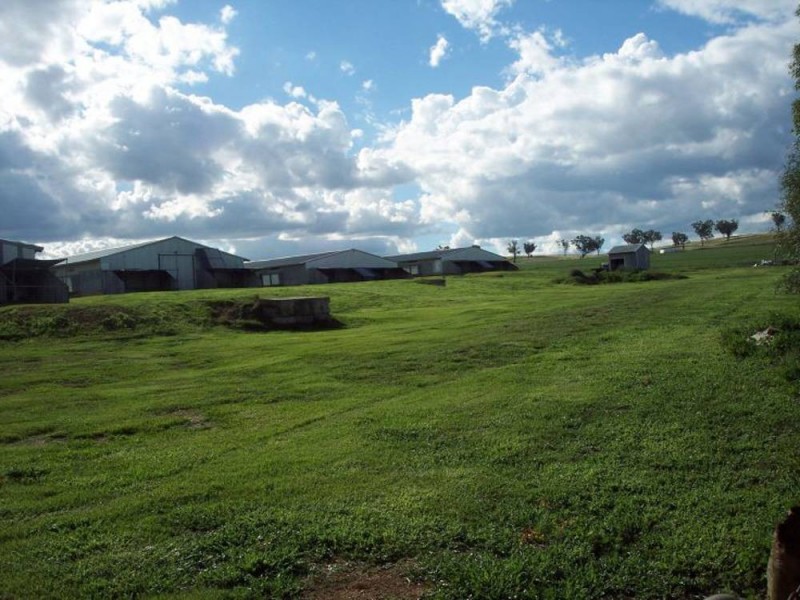 153 Byamee Lane, Wallamore, Tamworth NSW 2340