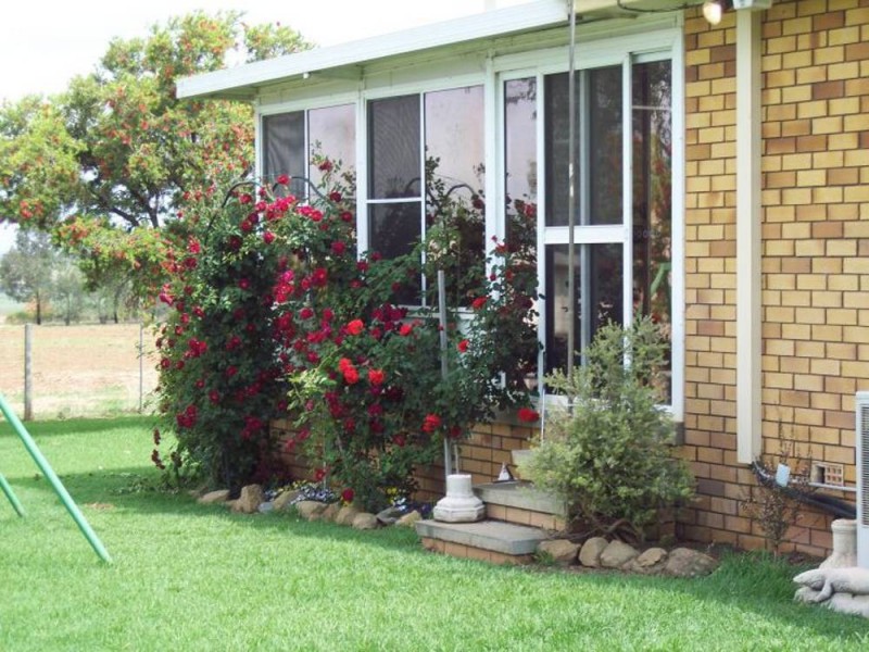 153 Byamee Lane, Wallamore, Tamworth NSW 2340