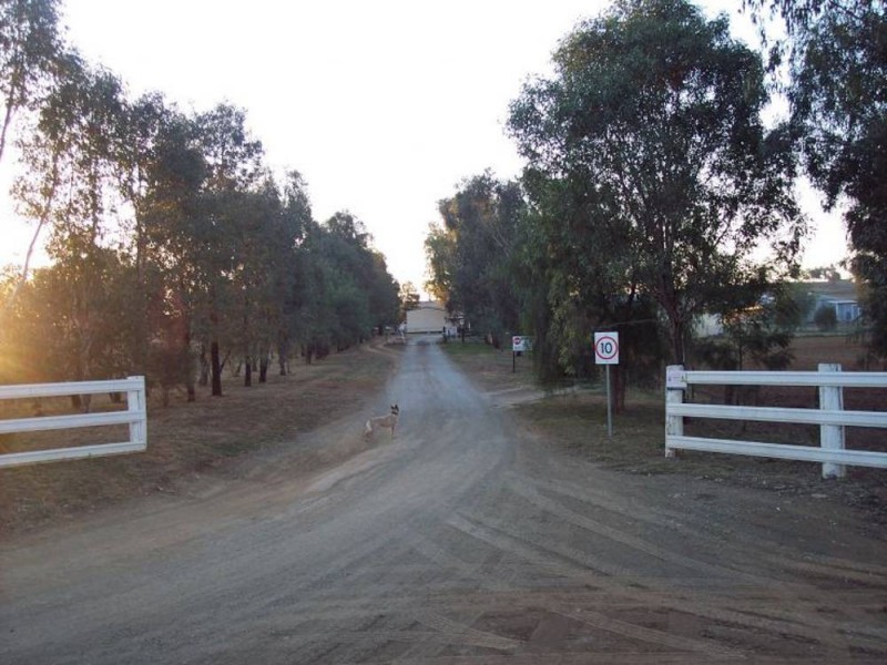 153 Byamee Lane, Wallamore, Tamworth NSW 2340