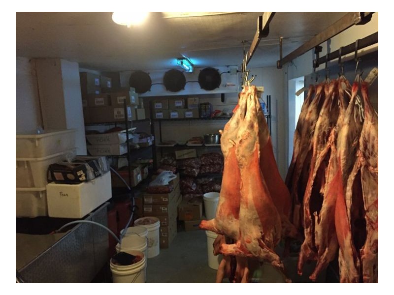 28 Chanter St, Berrigan NSW 2712