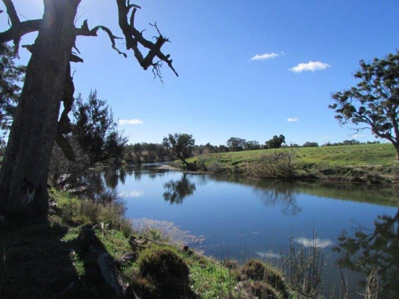 TILMUNDA, Bendemeer, Tamworth NSW 2340