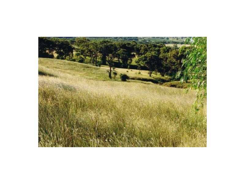 MOUNTVIEW, Currabubula, Tamworth NSW 2340