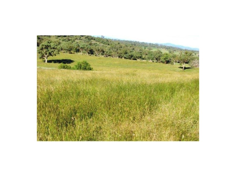 MOUNTVIEW, Currabubula, Tamworth NSW 2340