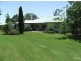 150 Treloar Road, Tambar Springs NSW 2381