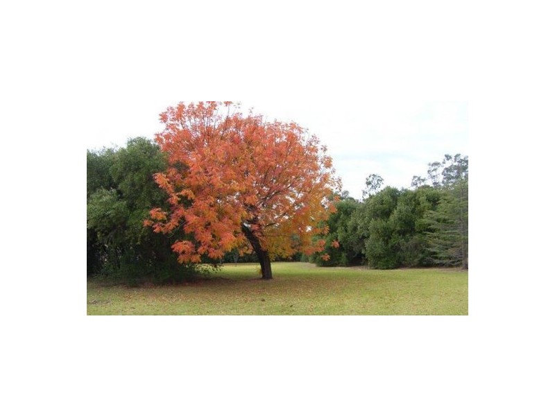 150 Treloar Road, Tambar Springs NSW 2381