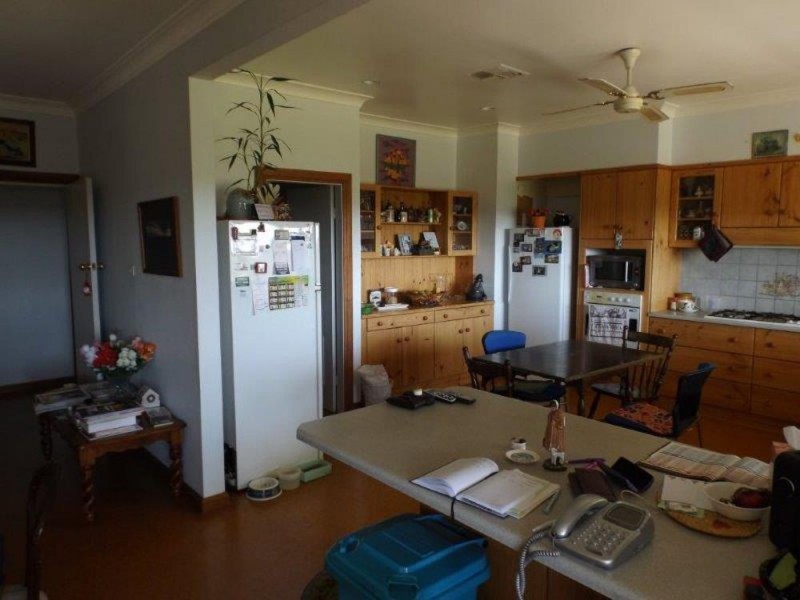 150 Treloar Road, Tambar Springs NSW 2381