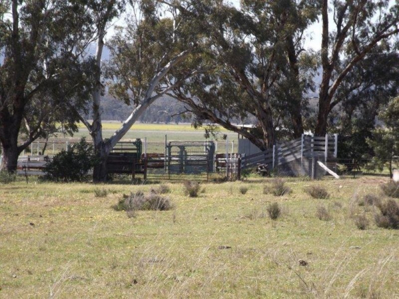 150 Treloar Road, Tambar Springs NSW 2381
