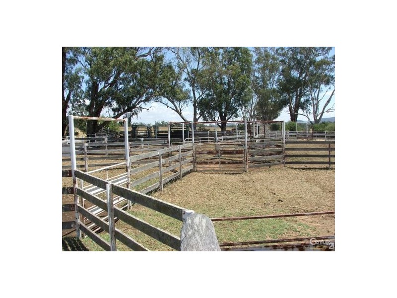 150 Treloar Road, Tambar Springs NSW 2381