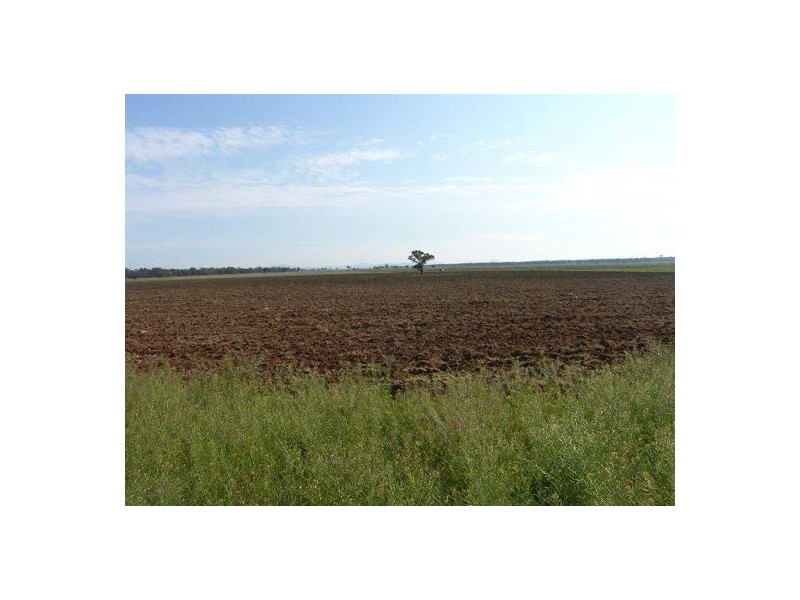 150 Treloar Road, Tambar Springs NSW 2381