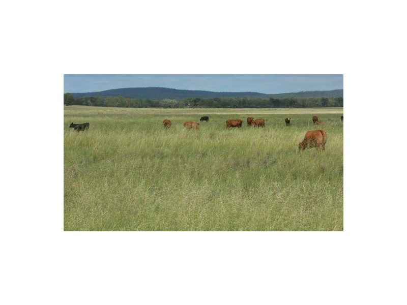 150 Treloar Road, Tambar Springs NSW 2381