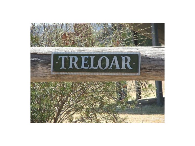 150 Treloar Road, Tambar Springs NSW 2381