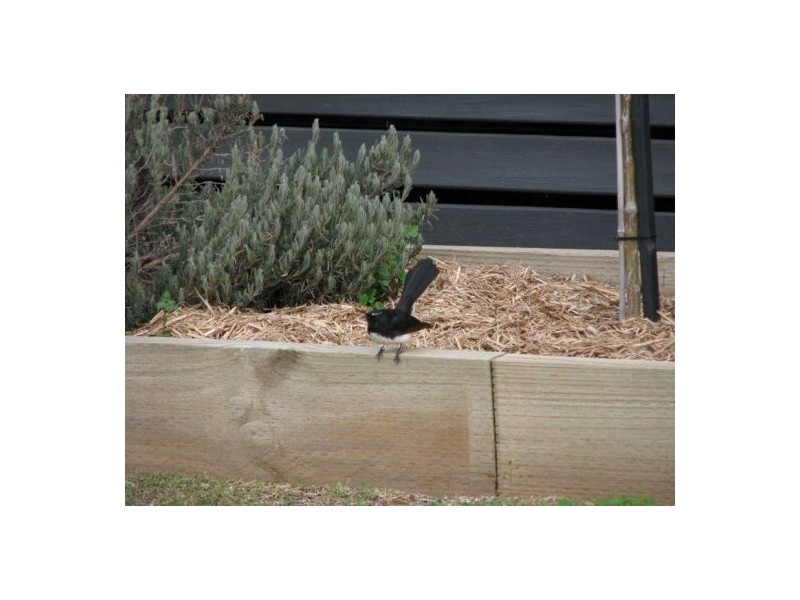 4 DRAKEFORD ST, Westdale, Tamworth NSW 2340