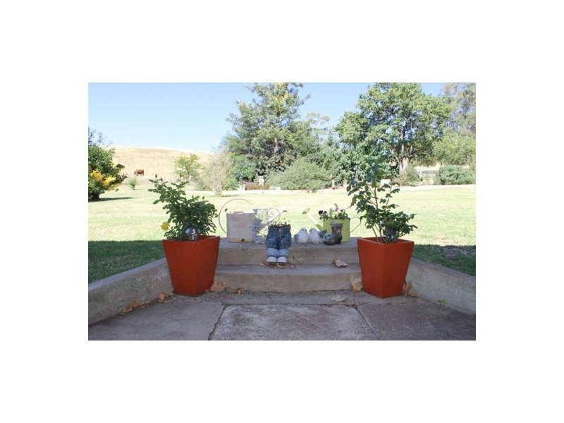 1311 Old Wallabadah Road, Crawney NSW 2338