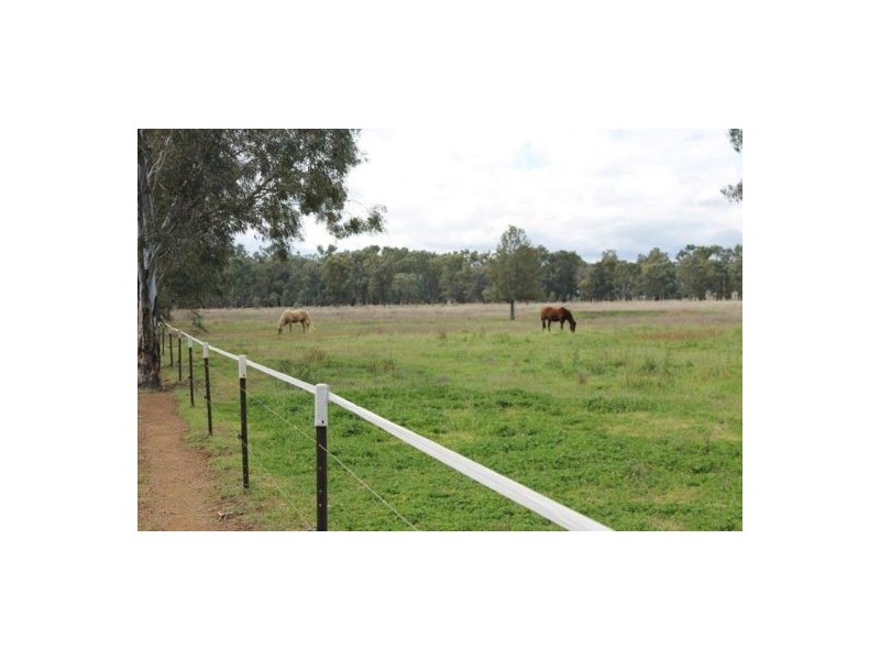 339 Duri-Wallamore Road, Tamworth NSW 2340