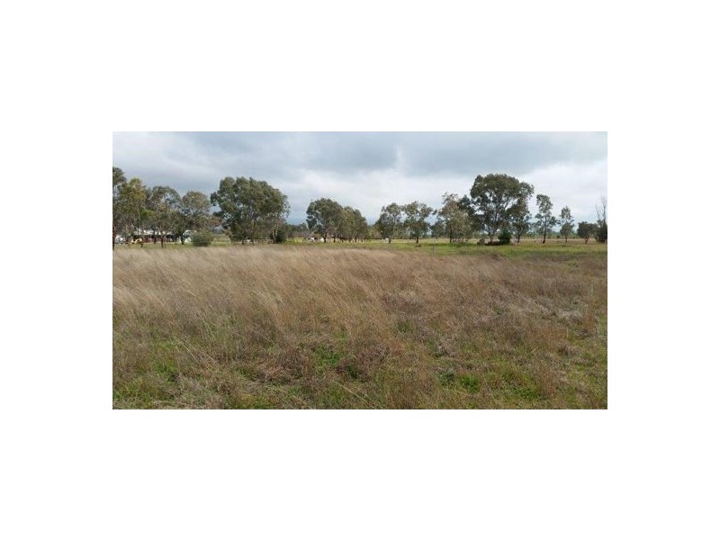 339 Duri-Wallamore Road, Tamworth NSW 2340