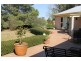 971 Upper Moore Creek Road, Tamworth NSW 2340