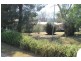 971 Upper Moore Creek Road, Tamworth NSW 2340