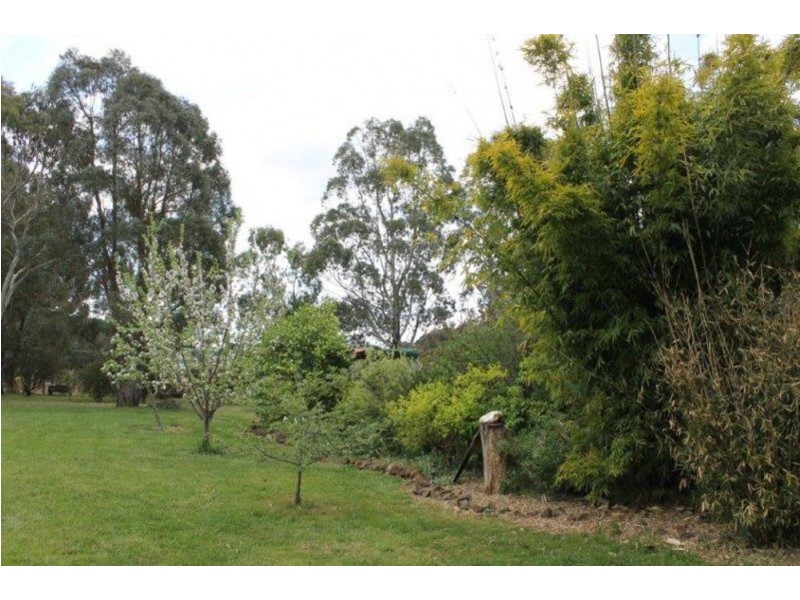 825 Barry Rd, Hanging Rock NSW 2340