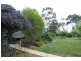 825 Barry Rd, Hanging Rock NSW 2340
