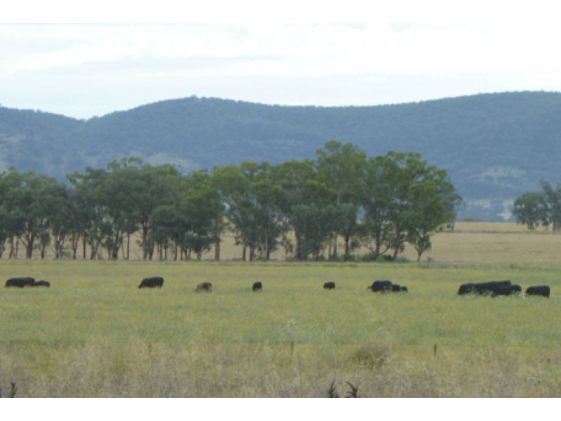 64 Ridds Lane, Winton NSW 2344