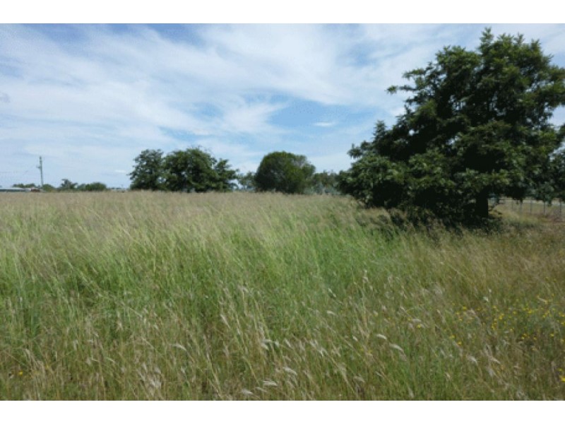 64 Ridds Lane, Winton NSW 2344